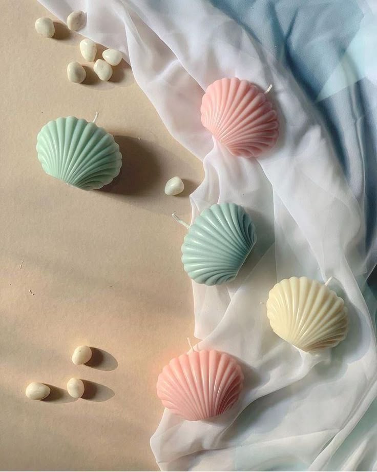 Coastal Glow Seashell Candle