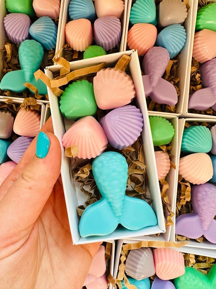 Sea Theme Wax Melt Set  